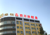 &#24517;&#36194;&#22312;&#32447;&#23458;&#26381;&#45;&#24517;&#36194;&#40;&#20013;&#22269;&#41;
